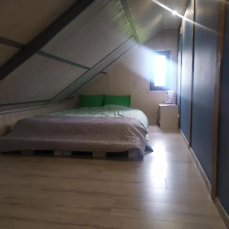 Koniczynka Jaroslawiec