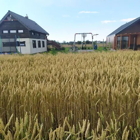 Koniczynka Jaroslawiec Jezierzany