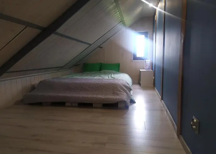 Koniczynka Jaroslawiec