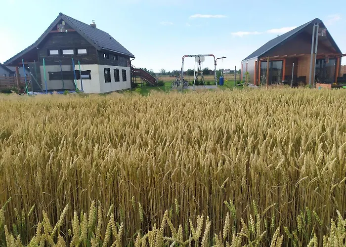 Koniczynka Jaroslawiec Jezierzany