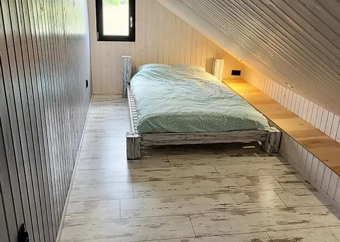 Koniczynka Jaroslawiec *