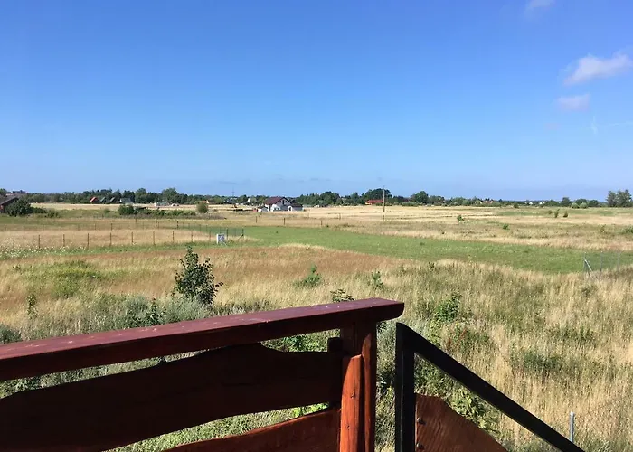 Koniczynka Jaroslawiec *